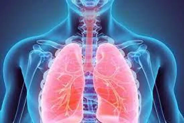 কীভাবে ভাল রাখবেন ফুসফুসকে?