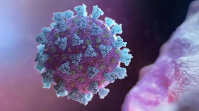 গত ২৪ ঘণ্টায় রাজ্যে খানিকটা কমল সংক্রমণ ও মৃত্যু