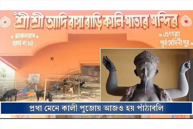 প্রথা মেনে আজও পাঁঠাবলি হয়ে আসছে কালী পুজোয়