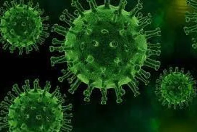 গত ২৪ ঘণ্টায় রাজ্যে করোনা আক্রান্ত ১৯১৫ জন