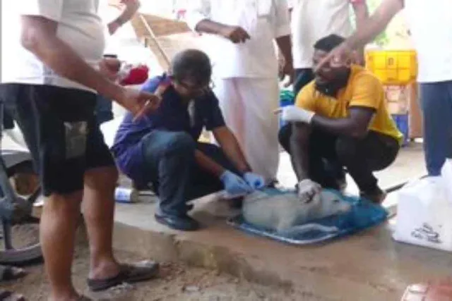 কুকুরদের দেওয়া হল অ্যান্টি-র‍্যাবিস ভ্যাকসিন