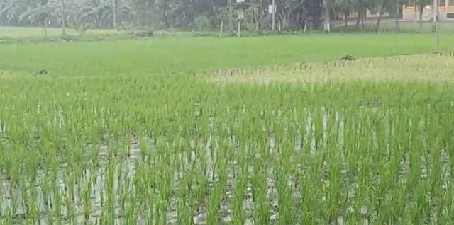 দক্ষিনবঙ্গ জুড়ে নিম্ন চাপের ভ্রুকুটি