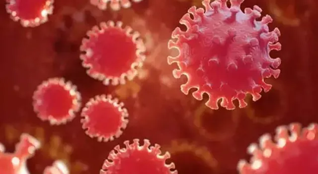 গত ২৪ ঘণ্টায় রাজ্যে করোনা আক্রান্ত ২৭০, মৃত্যুশূন্য বাংলা