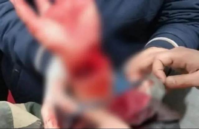 বাংলাদেশ সীমান্তে বিএসএফ জওয়ানের ওপর চোরাকারবারিদের হামলা