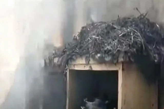 ভয়াবহ বিস্ফোরণে কাঁপল বাসন্তী