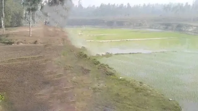 জমা জলে ডেঙ্গুর প্রকোপ বাড়ছে, প্রশাসন নির্বিকার