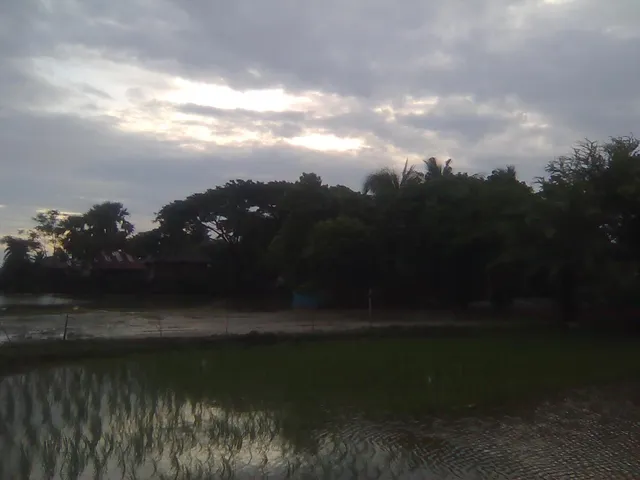ঝড়ে লন্ডভন্ড হল গ্রাম