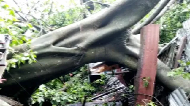 দিনহাটায় মুষলধারে বৃষ্টি