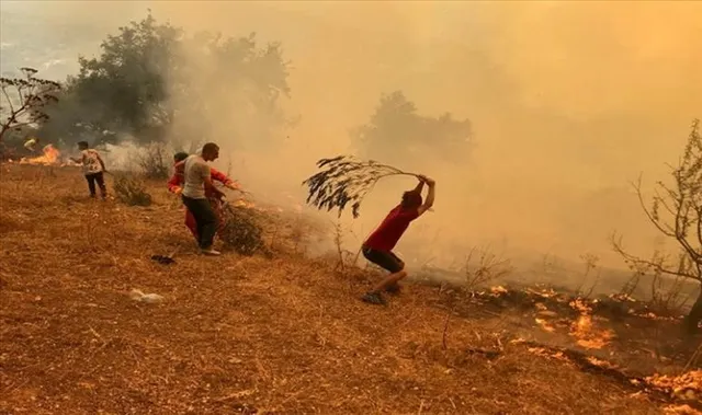 একজনকে পিটিয়ে হত্যা, ৪৯ জনের মৃত্যুদণ্ড