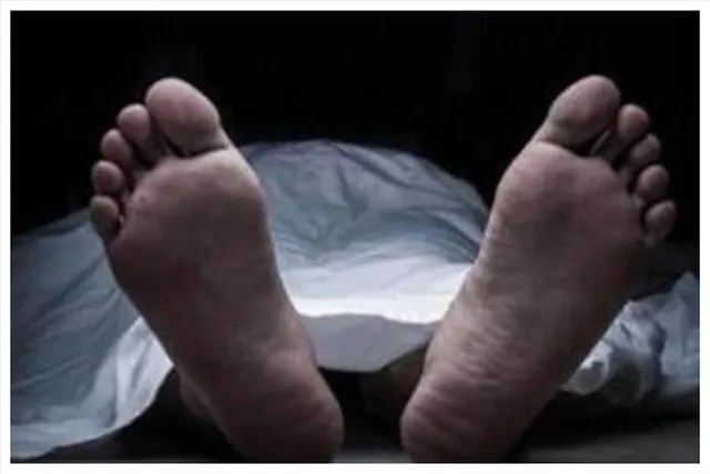 বিদ্যুৎস্পৃষ্ট হয়ে মৃত ৪