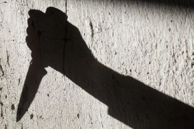 মাকে টুকরো টুকরো করে কাটলো মেয়ে, ঘটনায় ব্যাপক চাঞ্চল্য ছড়িয়েছে