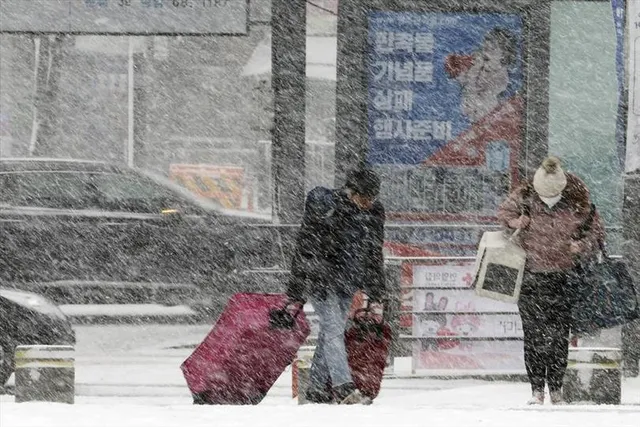 তুষারপাতের জেরে  বিপর্যস্ত দক্ষিণ কোরিয়ার বিমান পরিষেবা