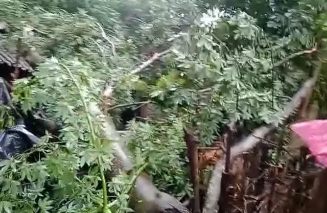 বৃষ্টির জেরে দুর্ঘটনা