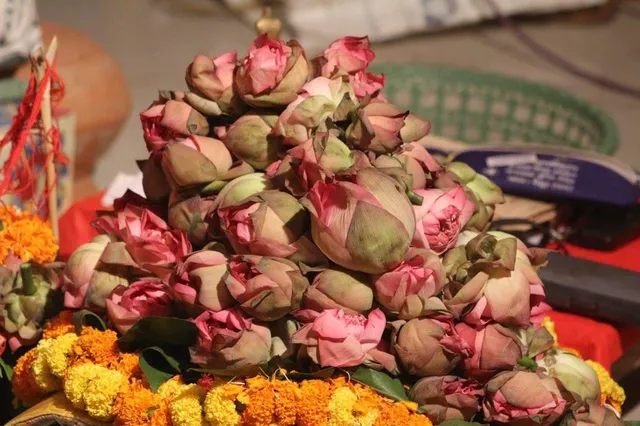 সন্ধিপুজোয় পদ্ম ১০৮টি করে লাগে কেন জানেন?