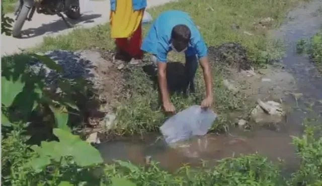 ডেঙ্গু প্রতিরোধে জলাশয়,  ড্রেনগুলোতে ছাড়া হলো গাপ্পি মাছ