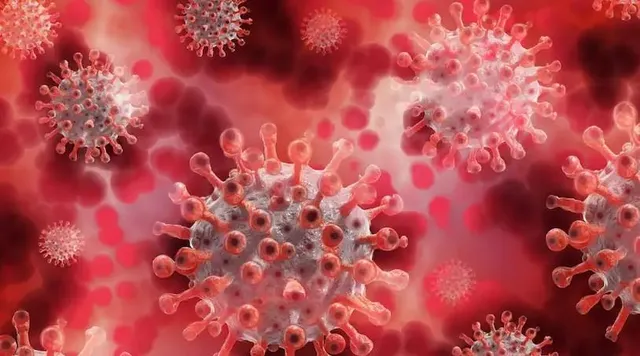 গত ২৪ ঘণ্টায় রাজ্যে করোনা আক্রান্ত  ২,৬৫৯, মৃত্যু হয়েছে ৫ জনের