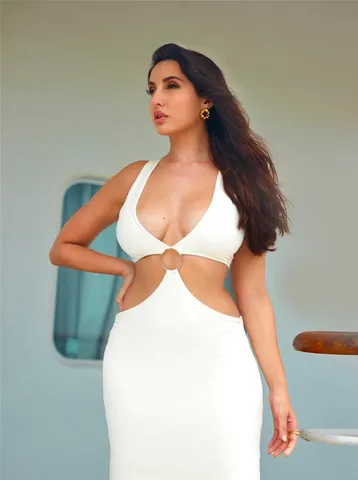 নোরার জনপ্রিয়তা পাওয়ার পথ ছিল কঠিন