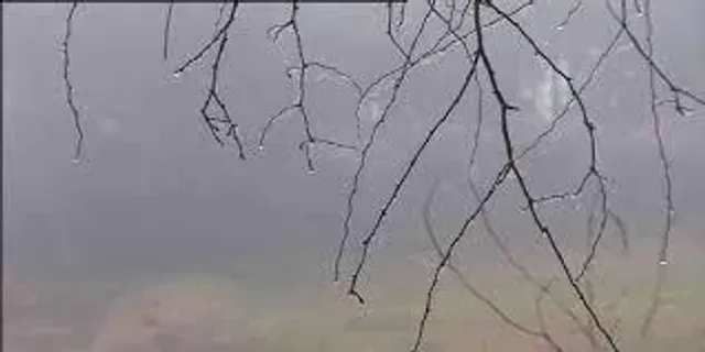 বঙ্গে শীত বৃষ্টির খেলা