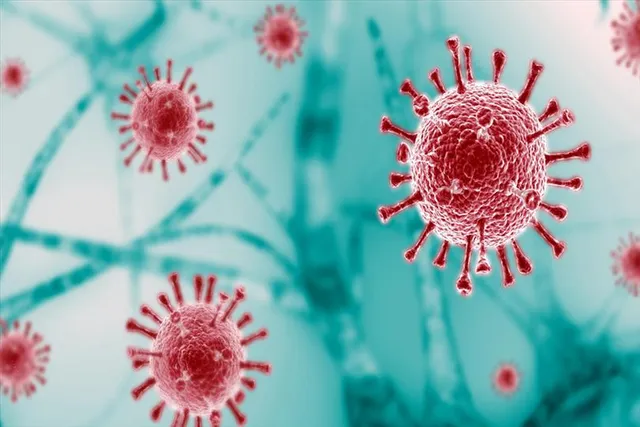 কুয়ালালামপুর ফেরত ব্যক্তির করোনা, আতঙ্ক মহানগরে