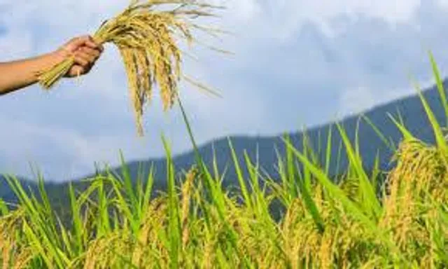 রাজ্য খাদ্য দফতরে কর্মী নিয়োগ