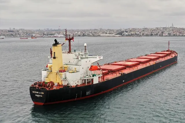 শস্য বহনকারী আরও দুটি পণ্যবাহী জাহাজ রওনা হয়েছে ইউক্রেন থেকে