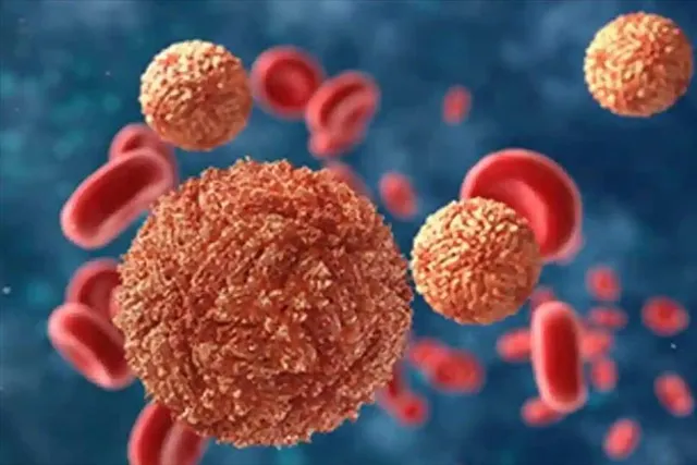 ওমিক্রনের নয়া প্রজাতির খোঁজ