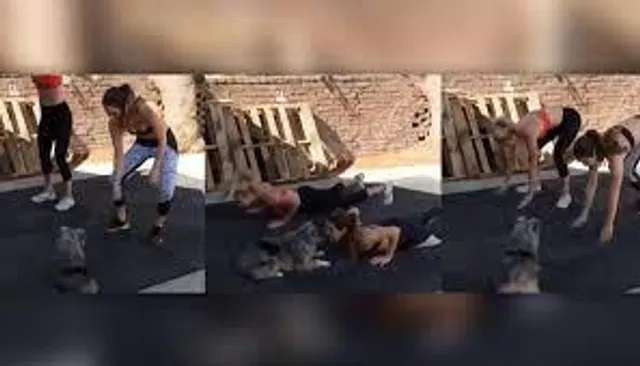 শরীরচর্চায় মেতেছে পোষ্য, দেখুন সেই মজার ভিডিও