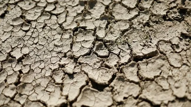গত পাঁচশো বছরে এমন ভয়াবহ খরা দেখেনি ইউরোপঃ ইইউ