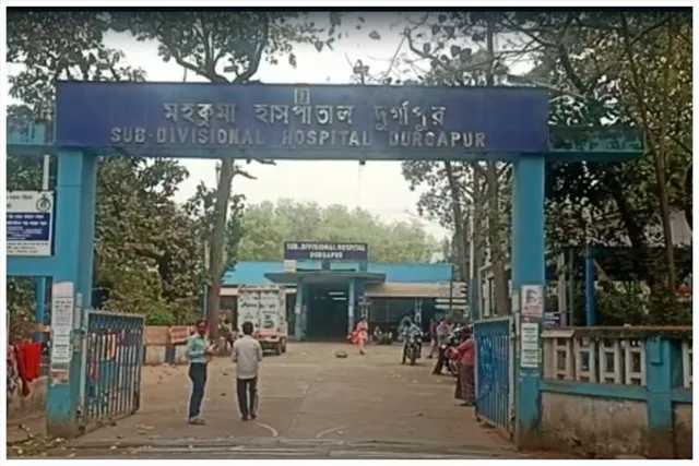 দুর্গাপুরবাসীর দুশ্চিন্তা বাড়াচ্ছে মৌমাছি