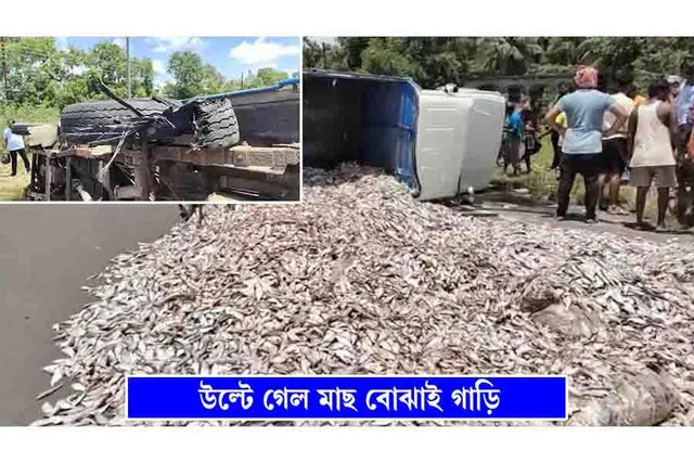 টায়ার ফেটে রাস্তায় উল্টে গেল মাছের গাড়ি