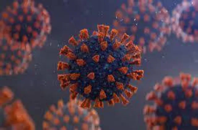 কেরালার করোনা আপডেট