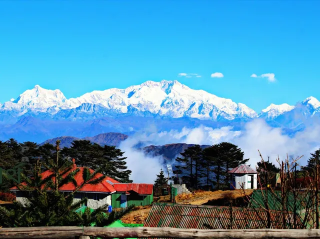 সান্দাকফুর জঙ্গলে নিখোঁজ দুই বাঙালি