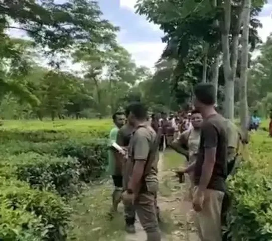 আলিপুরদুয়ারে  জোড়া হাতির রহস্যমৃত্যু