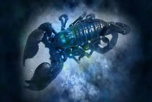 কেমন যাবে বৃশ্চিক রাশির আজকের দিন