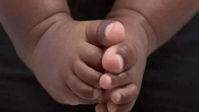 নদিয়ায় আগুনে পুড়ে মৃত্যু ৩ বছরের শিশু!