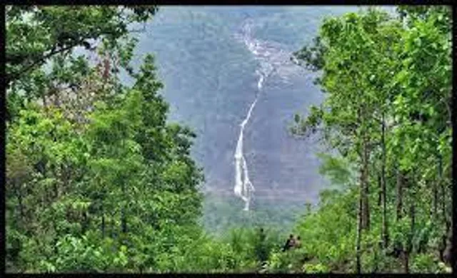 যাবেন নাকি সিমলিপাল জাতীয় উদ্যান!