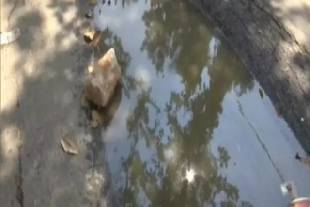 নিরাপত্তার জন্য হুমকি হয়ে দাঁড়াচ্ছে গর্ত ভর্তি রাস্তা