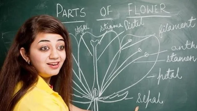 আইসিএসই বা আইএসসি বোর্ড পরীক্ষা 2022 প্রস্তুতি টিপস