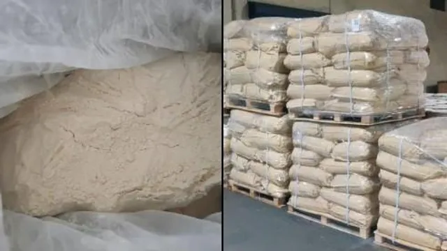 ভারতে কীটনাশকের চালান আটক করল ডিআরআই মুম্বাই