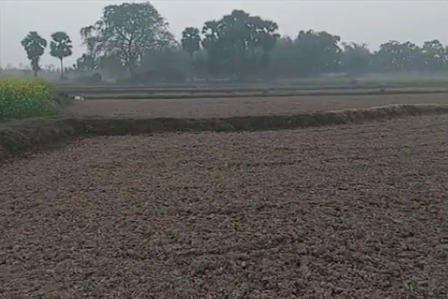 ফের বাঘের আতঙ্ক