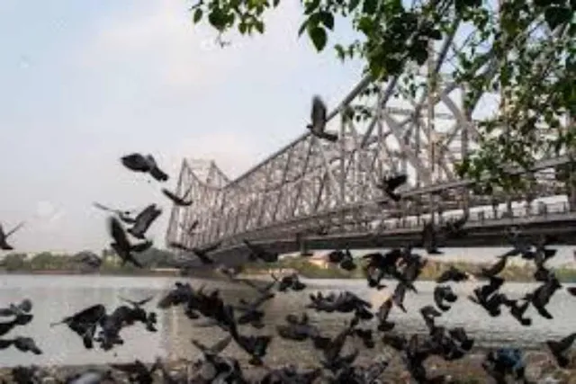 আজ ফের ২০ ডিগ্রির নিচে নামবে কলকাতার পারদ