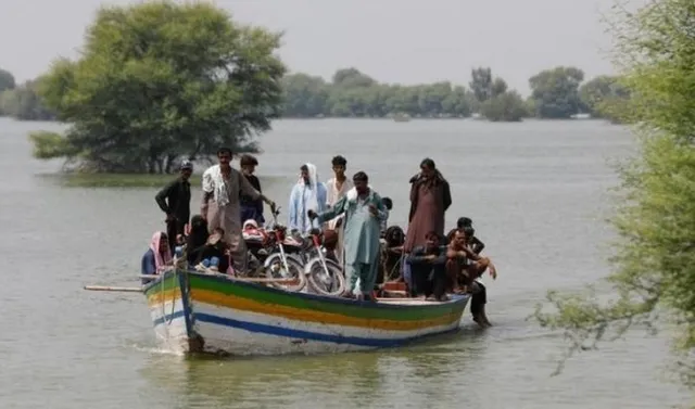 পাকিস্তানে এবার ডেঙ্গুর উপদ্রব