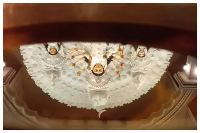 রাজডাঙা নব উদয় সংঘের পুজোর বাজেট কত জানেন?