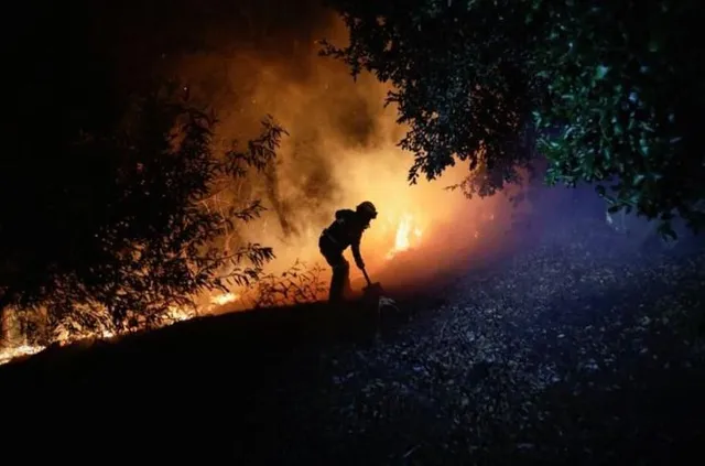 চিলির দক্ষিণ-মধ্যাঞ্চলে দাবানলে ১৩ জনের মৃত্যু