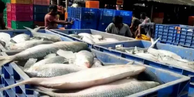 দীঘা মোহনায় কয়েক টন ইলিশ