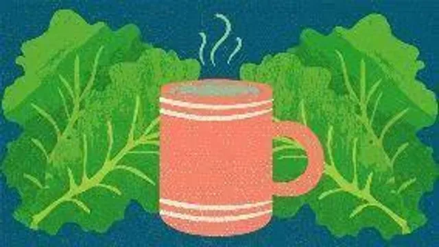 লেটুস জল কি আসলে আপনাকে ঘুমাতে সাহায্য করতে পারে?