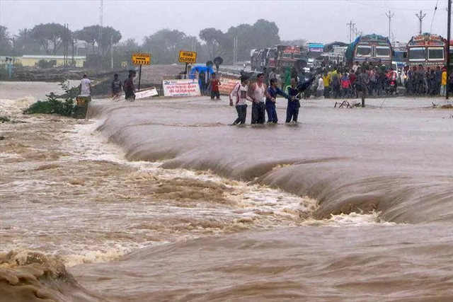 ভারী বৃষ্টিতে বিপর্যস্ত গুজরাট, বন্ধ স্কুল, কলেজ