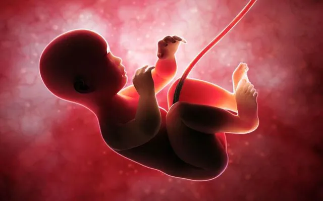 স্বাক্ষরিত হল গর্ভপাত নিষিদ্ধ বিল