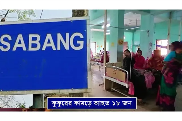কুকুরের কামড়ে আহত শিশু-সহ ১৮জন