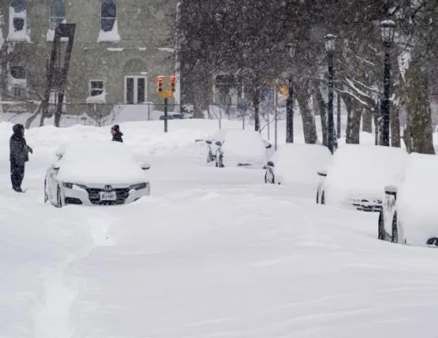 ১০০ ইঞ্চি বরফের নিচে বাফেলো